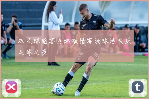 双足球盛宴点燃激情赛场球迷共庆足球之夜
