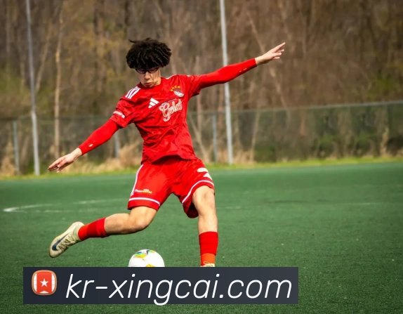 App Interface Preview