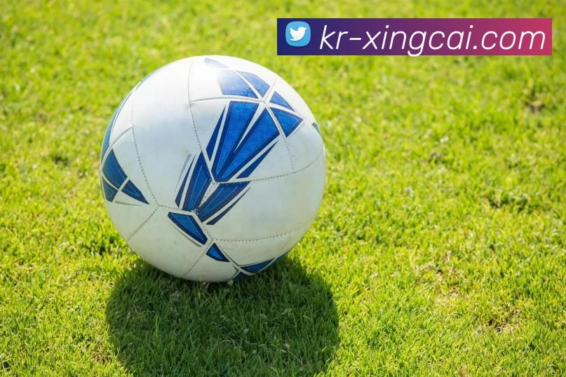 杏彩体育APP 封面图